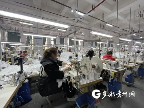 工廠建在家門口 產業就業雙豐收，職業中介活動助力發展